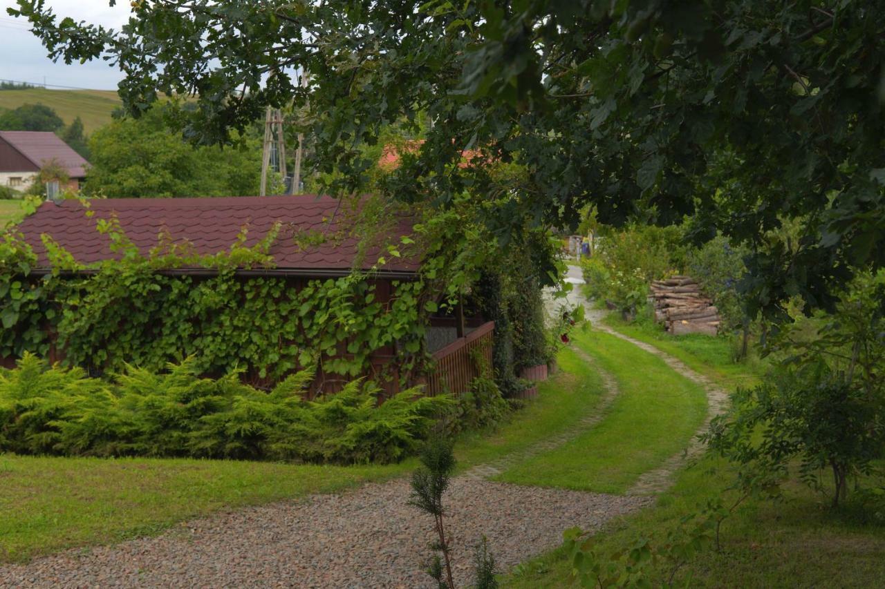 Dom Pachnacy Zywica Villa Bochnia Exterior photo
